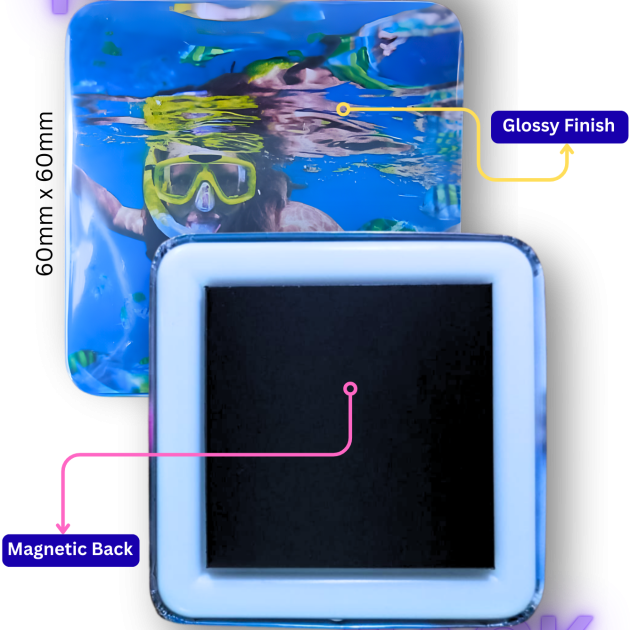 Discounted Bundle of 6 Magnets